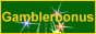 Gambler Bonus